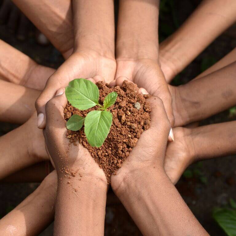natural-soil-plant